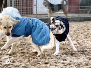 Hutamix-25-11-w24-019