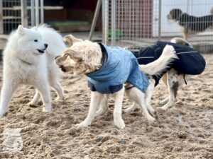 Hutamix-25-11-w24-020