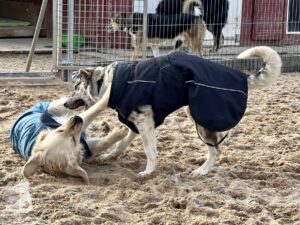 Hutamix-25-11-w24-021