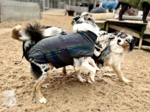 Hutamix-25-11-w24-022