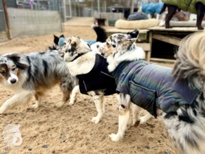 Hutamix-25-11-w24-023