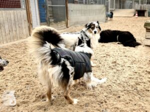 Hutamix-25-11-w24-024