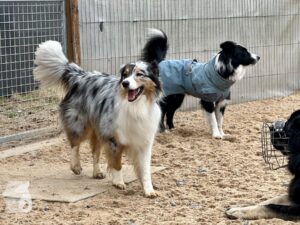 Hutamix-25-11-w24-025