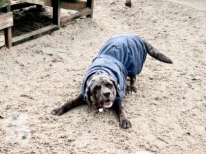 Hutabilder-26-01-001