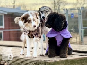 Hutabilder-26-01-004