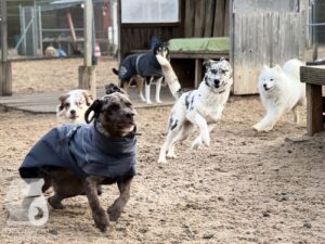 Hutabilder-26-01-005