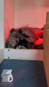 Hutabilder-26-01-007