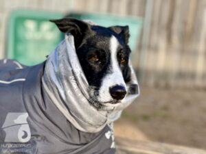 Hutabilder-26-01-009