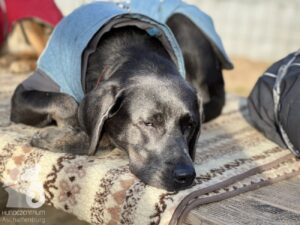 Hutabilder-26-01-010