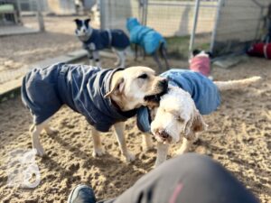 Hutabilder-26-01-012