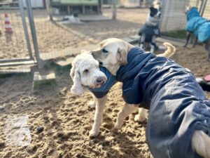 Hutabilder-26-01-013