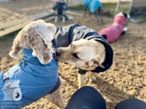 Hutabilder-26-01-014