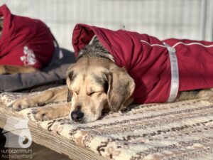 Hutabilder-26-01-015