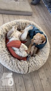 Hutabilder-26-01-016