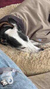 Hutabilder-26-01-017