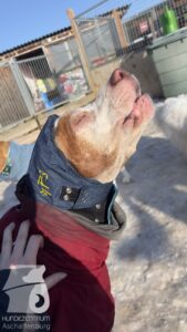 Hutabilder-26-01-018