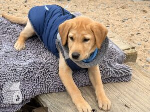 Hutabilder-26-01-019