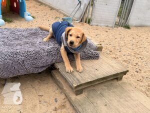 Hutabilder-26-01-020