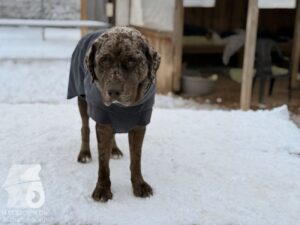 Hutabilder-26-01-021