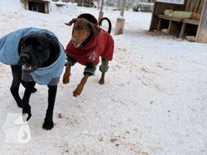 Hutabilder-26-01-022