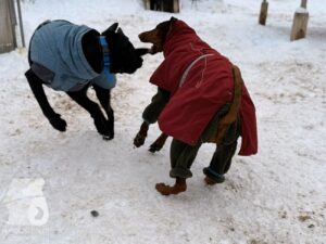 Hutabilder-26-01-023