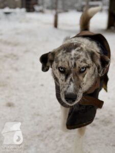 Hutabilder-26-01-024