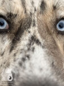 Hutabilder-26-01-025