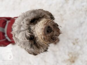 Hutabilder-26-01-026