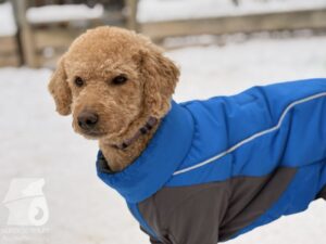 Hutabilder-26-01-027