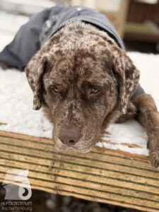 Hutabilder-26-01-028