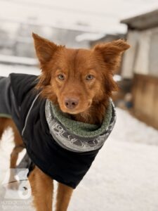 Hutabilder-26-01-029