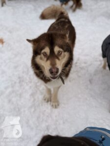 Hutabilder-26-01-030