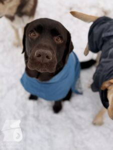 Hutabilder-26-01-031