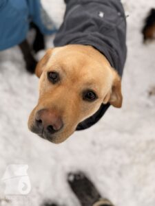 Hutabilder-26-01-032