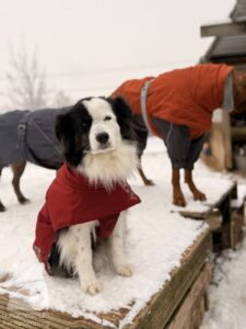 Hutabilder-26-01-033