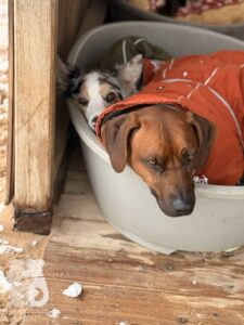 Hutabilder-26-01-035