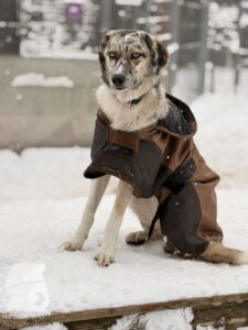 Hutabilder-26-01-036