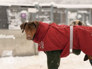 Hutabilder-26-01-037