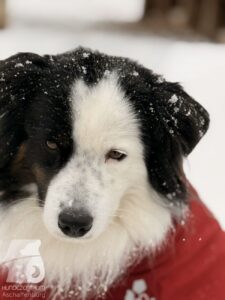 Hutabilder-26-01-038