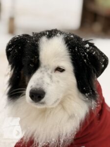 Hutabilder-26-01-039