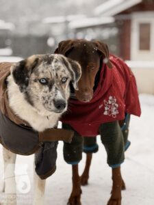 Hutabilder-26-01-040