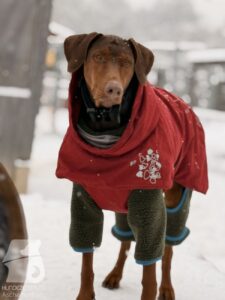 Hutabilder-26-01-041