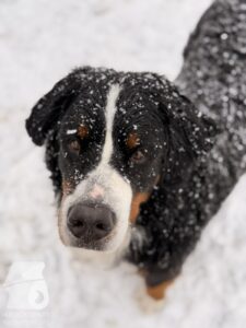 Hutabilder-26-01-045