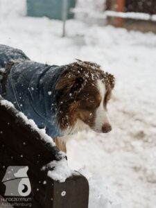 Hutabilder-26-01-047