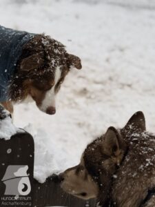 Hutabilder-26-01-048