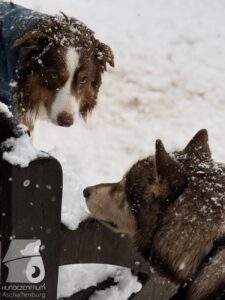 Hutabilder-26-01-049