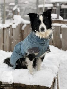 Hutabilder-26-01-050