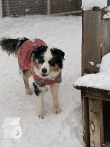 Hutabilder-26-01-051