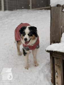 Hutabilder-26-01-052