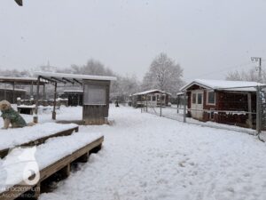 Hutabilder-26-01-053